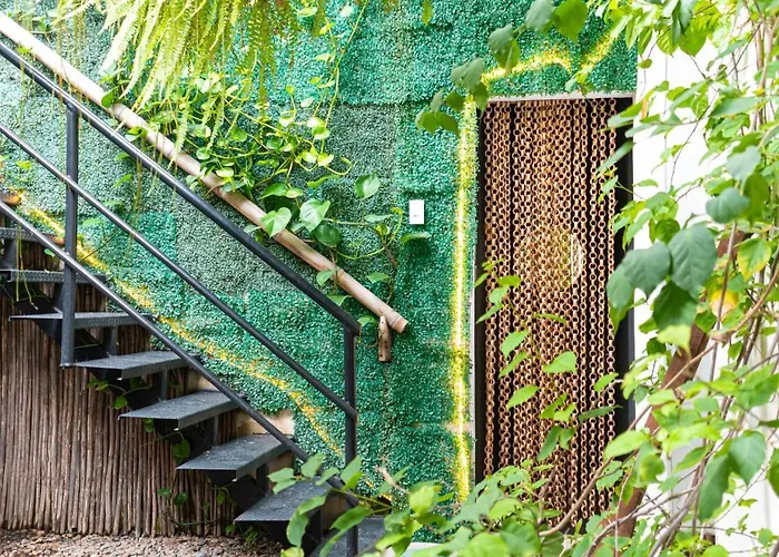 Hostel Musa Paradisiaca Santa Marta 